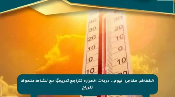 انخفاض مفاجئ اليوم.. درجات الحرارة تتراجع تدريجيًا مع نشاط ملحوظ للرياح